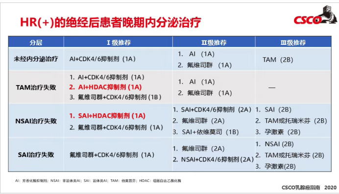 2020 CSCO乳腺癌诊疗指南重磅发布！——表观遗传调控剂西达本胺获